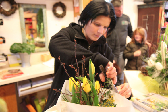 koe-Tulpen bei blumen huber-20.jpg