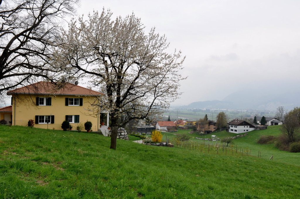 FlaechenwidmungKoblach18.JPG
