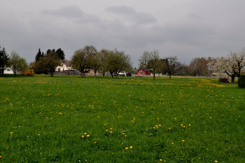 FlaechenwidmungKoblach31.JPG
