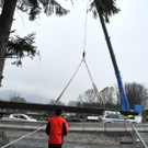 DSCN2625_JPG-1334910596