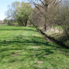 Mehr Bilder zu: Rheintalbinnenkanal im Bereich Landwirtschaftsschule