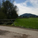 IMG_1500.JPG