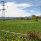 IMG_1513 Hochwasserr__ckhaltebecken im Bereich Rheinauen.JPG