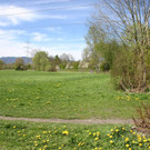 IMG_1515 Hochwasserr__ckhaltebecken im Bereich Rheinauen - hier ist ein Damm zu den Steuerelementen geplant.JPG