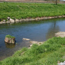 IMG_1482 Ma__nahmen f__r Wasserlebewesen.JPG