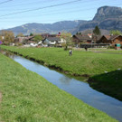 IMG_1521 Rheintalbinnenkanal im Bereich Landwirtschaftsschule.JPG