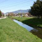 IMG_1525 Rheintalbinnenkanal im Bereich Landwirtschaftsschule.JPG