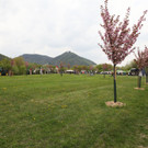IMG_2666.JPG