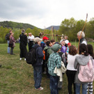 IMG_2685.JPG