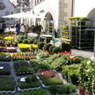 sm_gemeinde_ostermarkt09.JPG