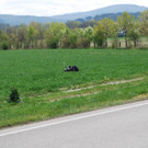 DSC_0005.JPG