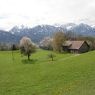 IMG_6684_jpg-1335001281