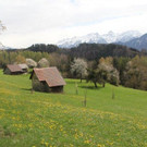 IMG_6685_jpg-1335001282