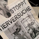 tiere.jpg