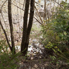 Flurreinig_2012-007.jpg