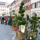 sm_gemeinde_ostermarkt13.JPG