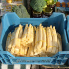 DSC00722.JPG