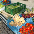 DSC00724.JPG