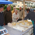 DSC00726.JPG