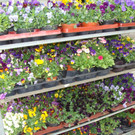 DSC00733.JPG