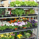 DSC00737.JPG