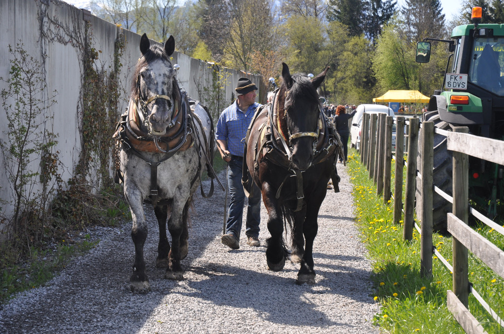 DSC_0053_JPG-1335079750