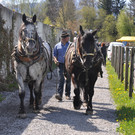 Fuhrmannstag