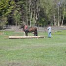 DSC_0061_JPG-1335079858