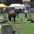 DSC_0088_JPG-1335080387