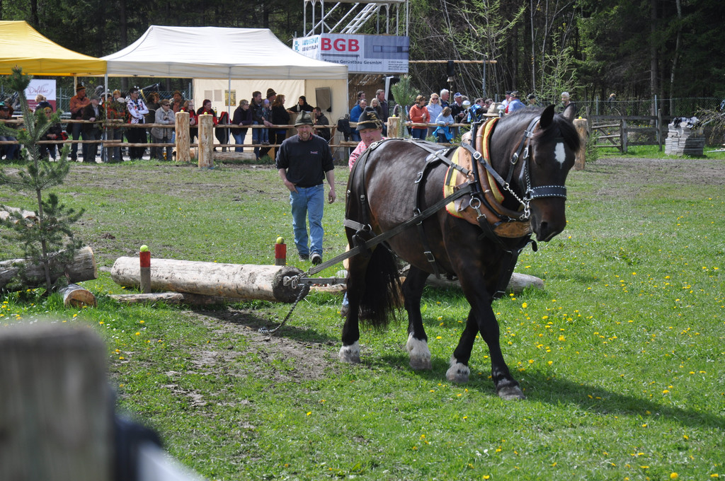 DSC_0090_JPG-1335080422