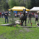 DSC_0105_JPG-1335080494