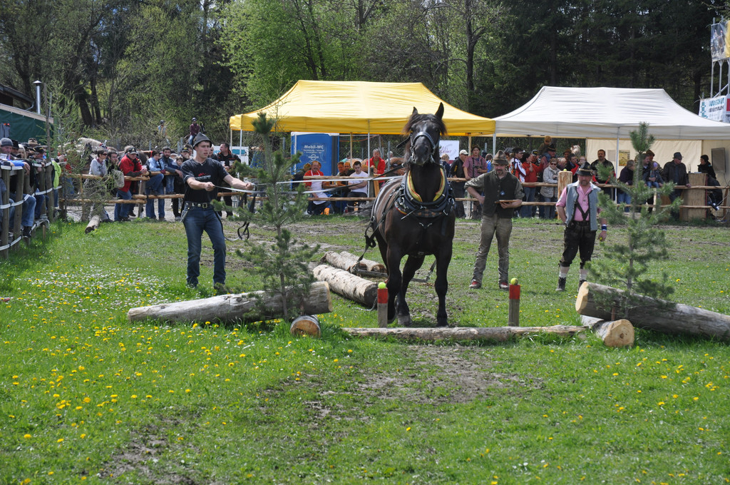 DSC_0105_JPG-1335080494