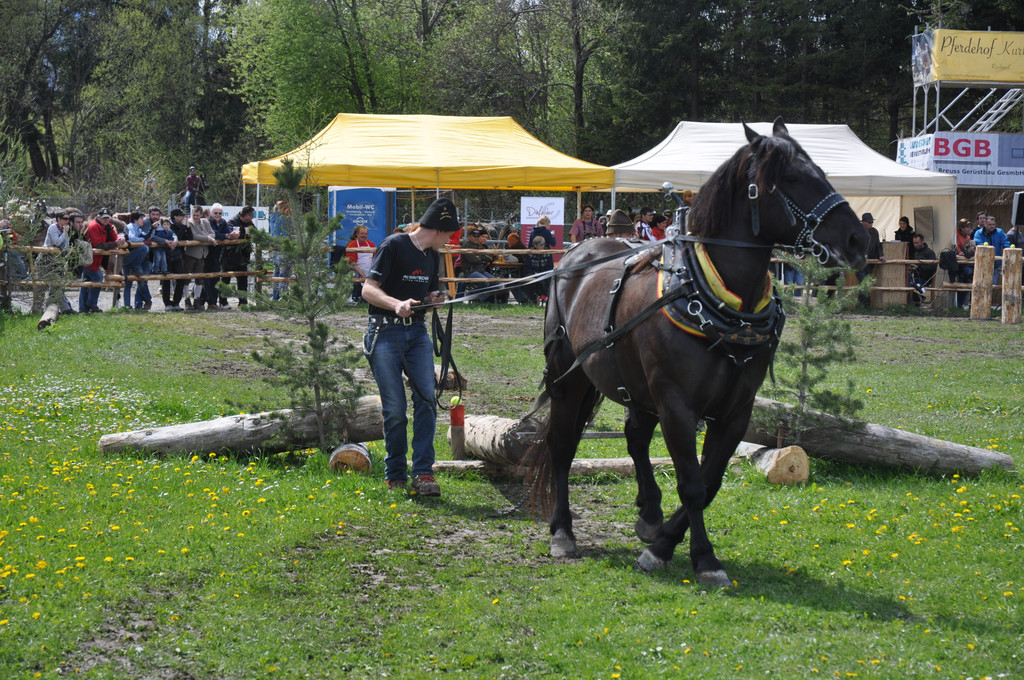 DSC_0108_JPG-1335080529