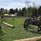 DSC_0110_JPG-1335080564