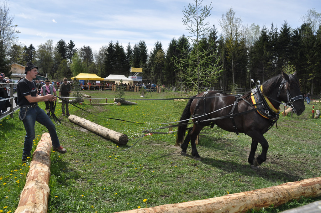 DSC_0110_JPG-1335080564