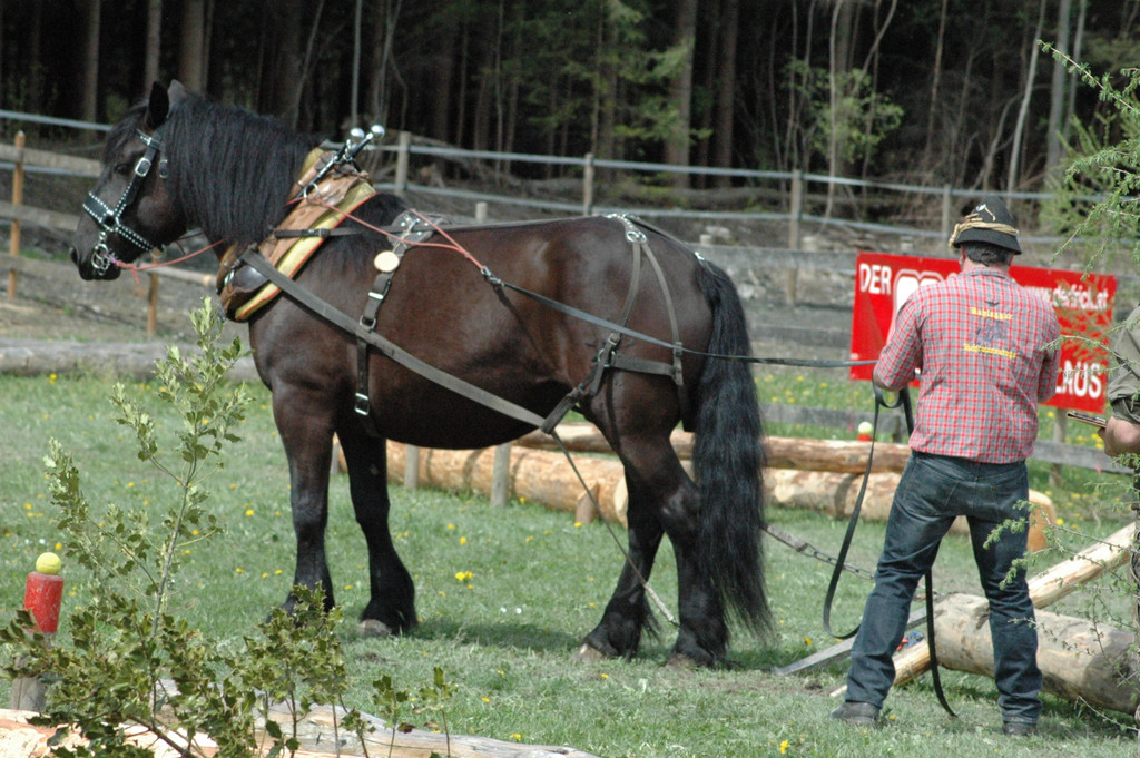 DSC_2522_JPG-1335080709