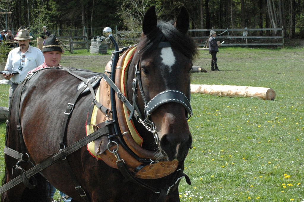 DSC_2536_JPG-1335080787