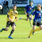 Best of Hoechst und Bludenz