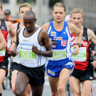 file64jttr2kl8k15dbi2l2p.jpg