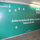 DSCN2666_JPG-1335111643