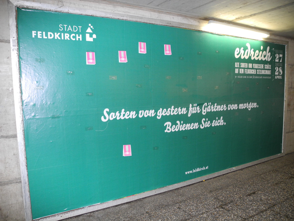 DSCN2666_JPG-1335111643