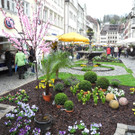 DSCN2294_JPG-1335111590