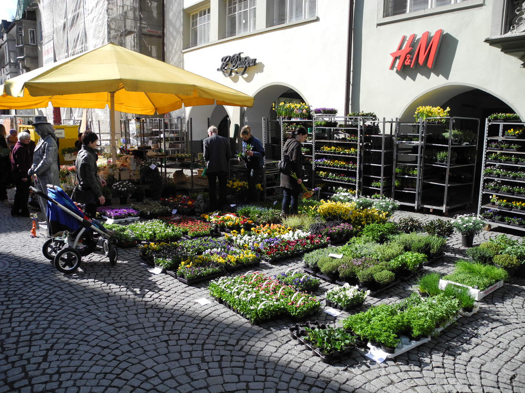 DSCN4480_JPG-1335111689