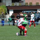 DSC_2653_JPG-1335118498