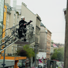 7 brand aus.jpg