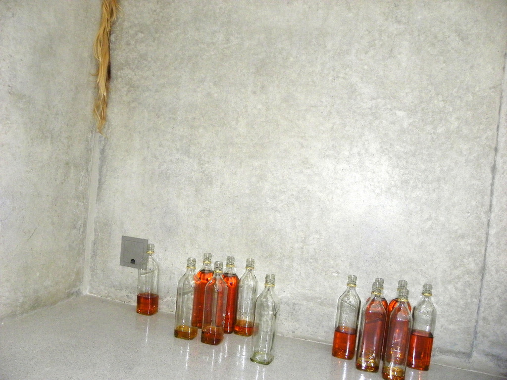 114_4038_JPG-1335123697