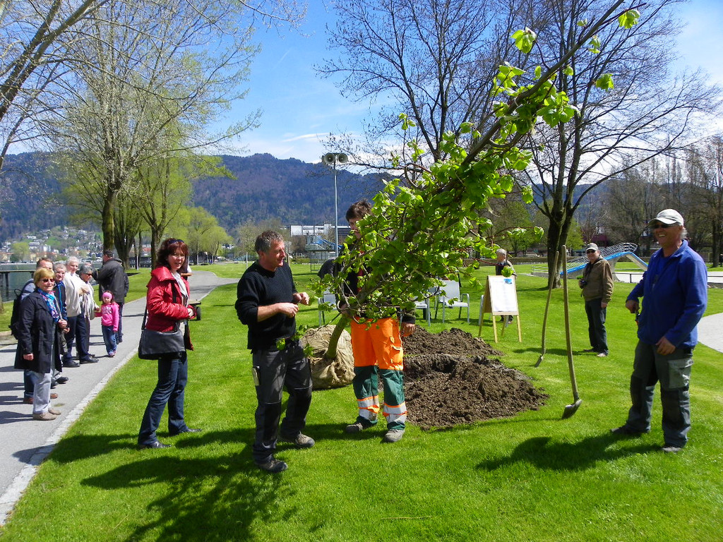 114_3533_JPG-1335132707