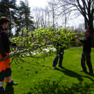 114_3535_JPG-1335132713