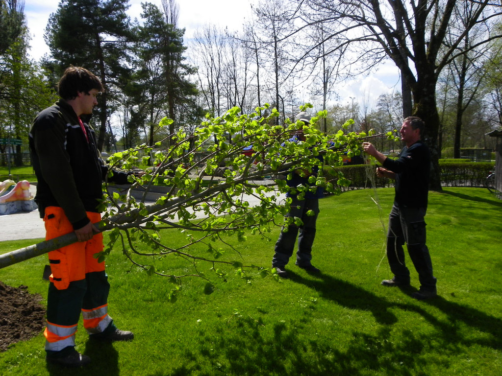 114_3535_JPG-1335132713