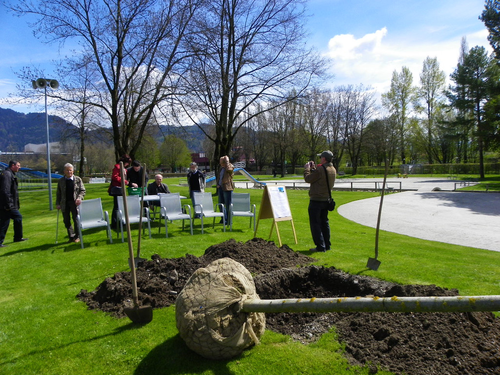 114_3538_JPG-1335132719